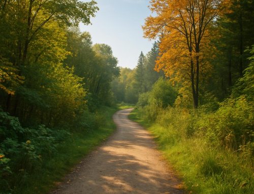 Exploring the Joys of Hiking Trails Around Clifton Park