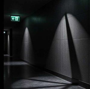 Eric Gandler Clifton Park Power Outage